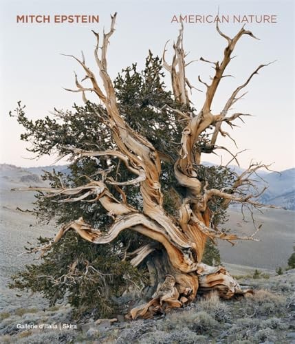 Mitch Epstein : American Nature Brian Wallis - Image 5