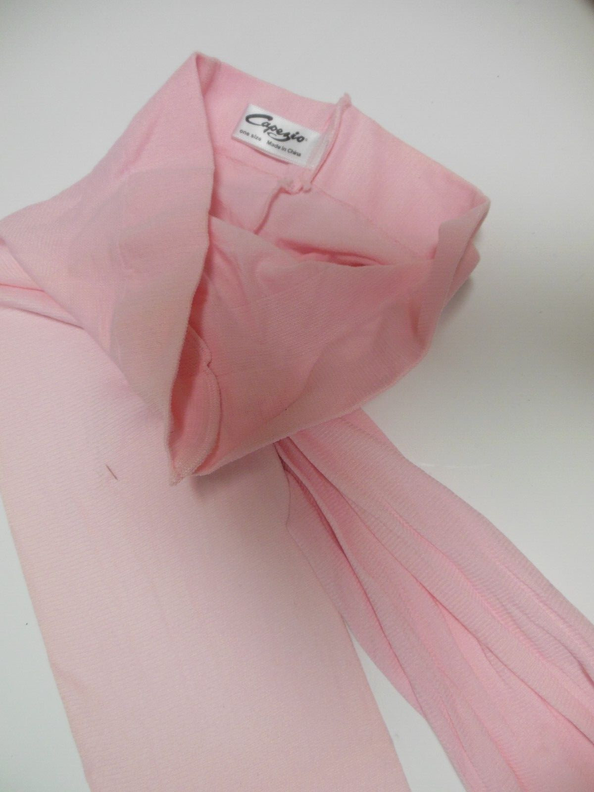 Capezio Lot of 4 Items LargeC/XSAd Bag sheer top longsleeve footless tights