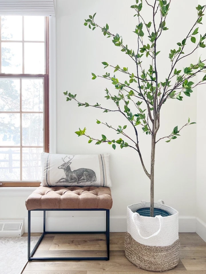 Árbol minimalista cítrico artificial de 6,5’ decoración del hogar. Venta al por menor $248 Foto 2 de 4