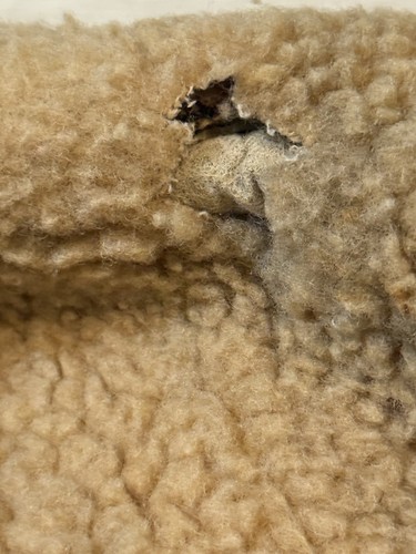 Image thumbnail 13