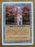 Magic Mtg Italian Core Set 5th Edition Urza's Tower   lightly played