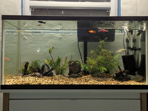 green machine uv sterilizer