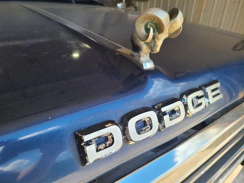 Hood Fits 81-93 DODGE 150 PICKUP 589809 - Image 4 of 4