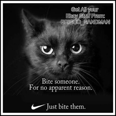 Fridge Fun Refrigerator Magnet ''CAT: JUST BITE SOMEONE'' Nike Slogan Parody