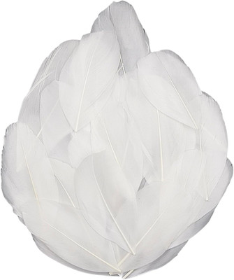 50 Pieces Natural Goose Feathers, 2-3 Inch Craft Feathers for Centerpieces, Bulk