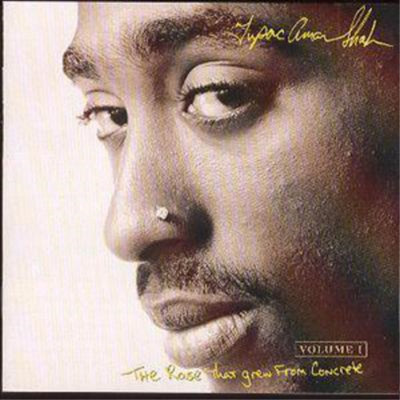 2Pac The Rose That Grew from Concrete (CD) Album