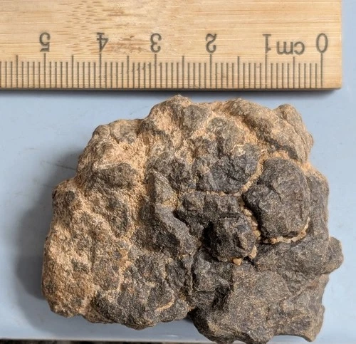 Highly Weathered 74 Gram Unclassified NWA METEORITE (#F8733)