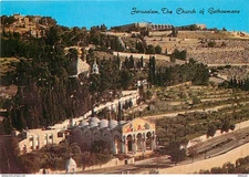 Israel - Jerusalem - Church of All Nations - Church of Gethsemane - Aeria