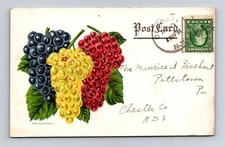 Advertising Postcard NY Deposit New York Seed Company Receipt 1916 T24