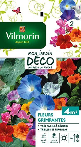VILMORIN Mélange graines de fleurs grimpantes (m3I)