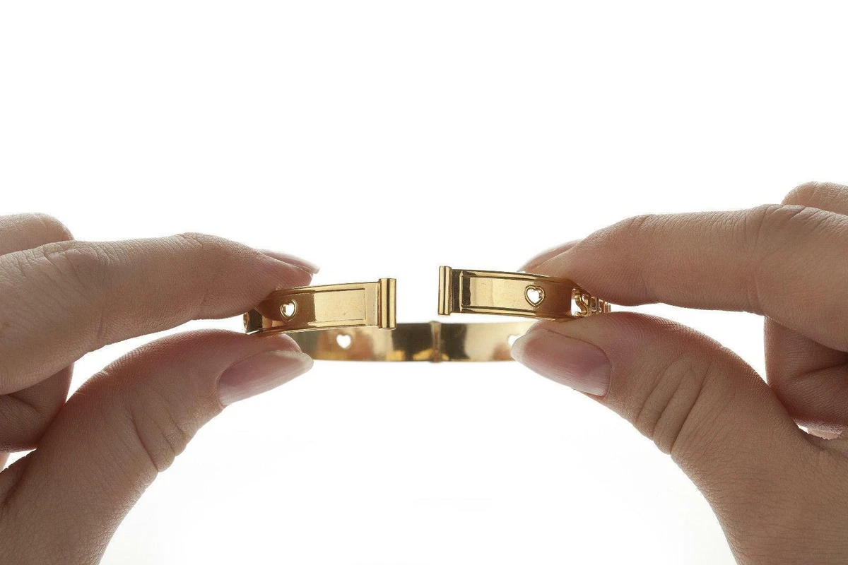 Cartier 2 tone shop love bracelet
