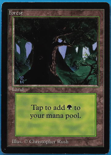 Forest (C Dark Tree) Beta PLD Basic Land MAGIC MTG CARD (ID# 505239) ABUGames - Picture 1 of 2
