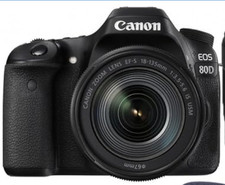 Canon EOS 80D plus two lenses