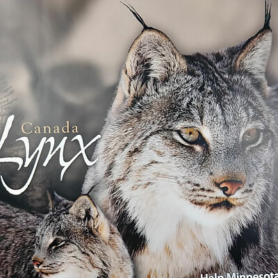 2006 Canada Lynx MN Department of Natural Resources Info Poster 16x20 2-Sided