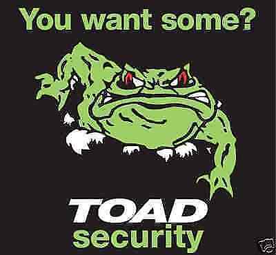 NEW 2x TOAD CAR/VAN ALARM WINDOW REPLACEMENT STICKERS. NEW DESIGN BARGAIN BUY ! - Picture 1 of 1