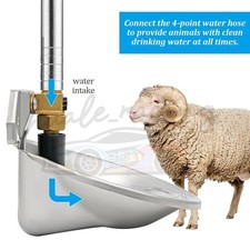 Stainless Steel Automatic Water Bowl Auto Drink for Goat Sheep Dog Cattle Horse