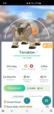 Pokemon Level 40 Terrakion With 2nd Move VERY RARE/POWERFUL GO