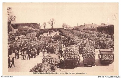 BACP10-0813-29 - SAINT-POL-DE-LEON - Der Markt Bei Blumenkohl
