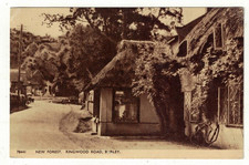 Real Photo Postcard of New Forest Ringwood Road Burley