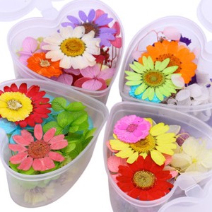 Colorful-Preserved-Dried-Flower-3D-Nail-Art-Decoration-Heart-Shaped-Manicure-DIY