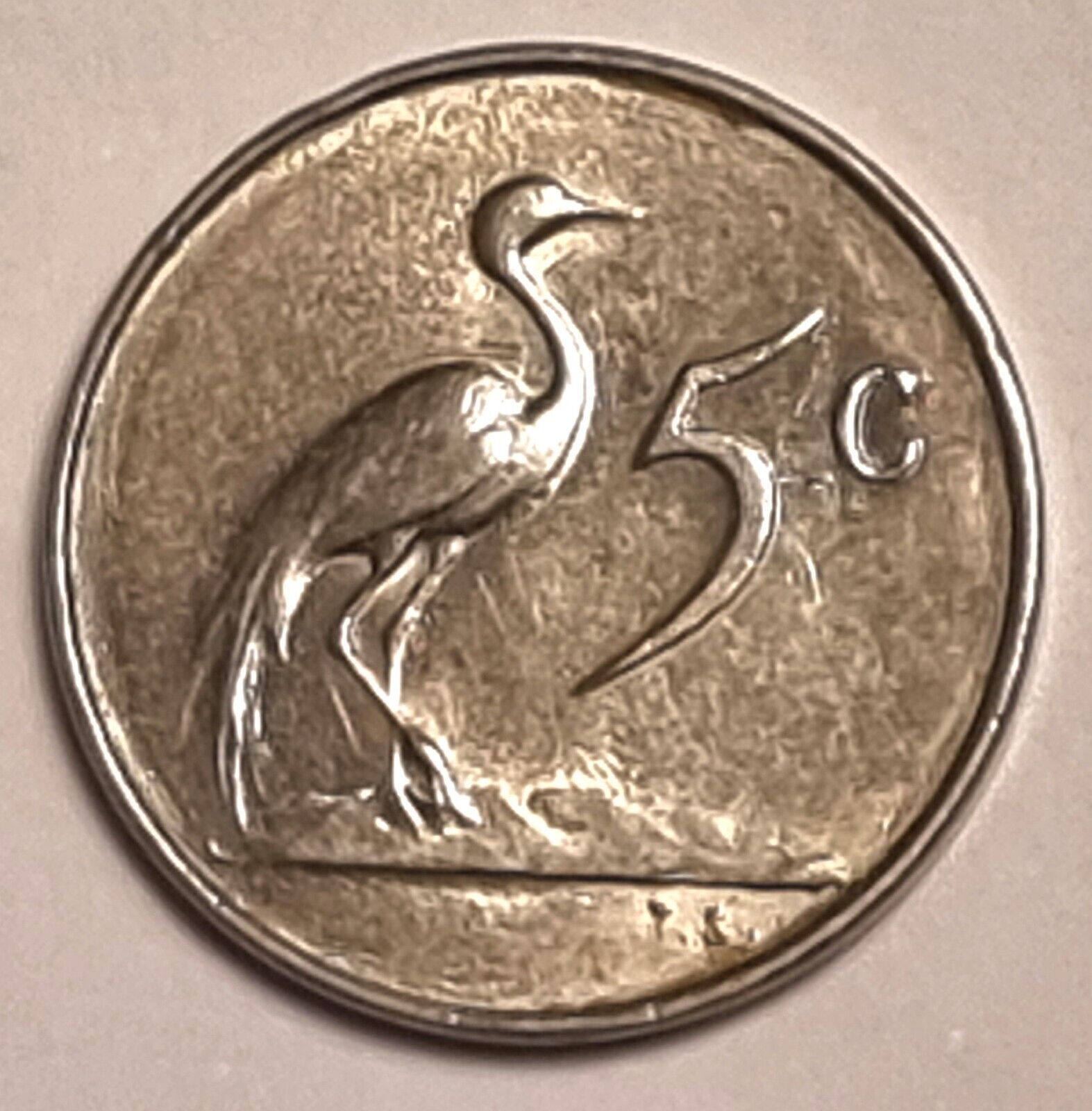Foto 2 di 5