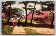 Old Postcard Cherry Blossoms Japanese Women Goryokaku Park Hakodate Ezo Republic