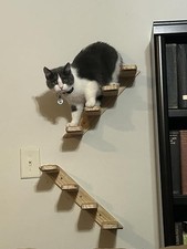 2 Pack 4 Steps Cat Wall Shelves Cat Stairs for Wall,Cat Climbing Shelf with S...