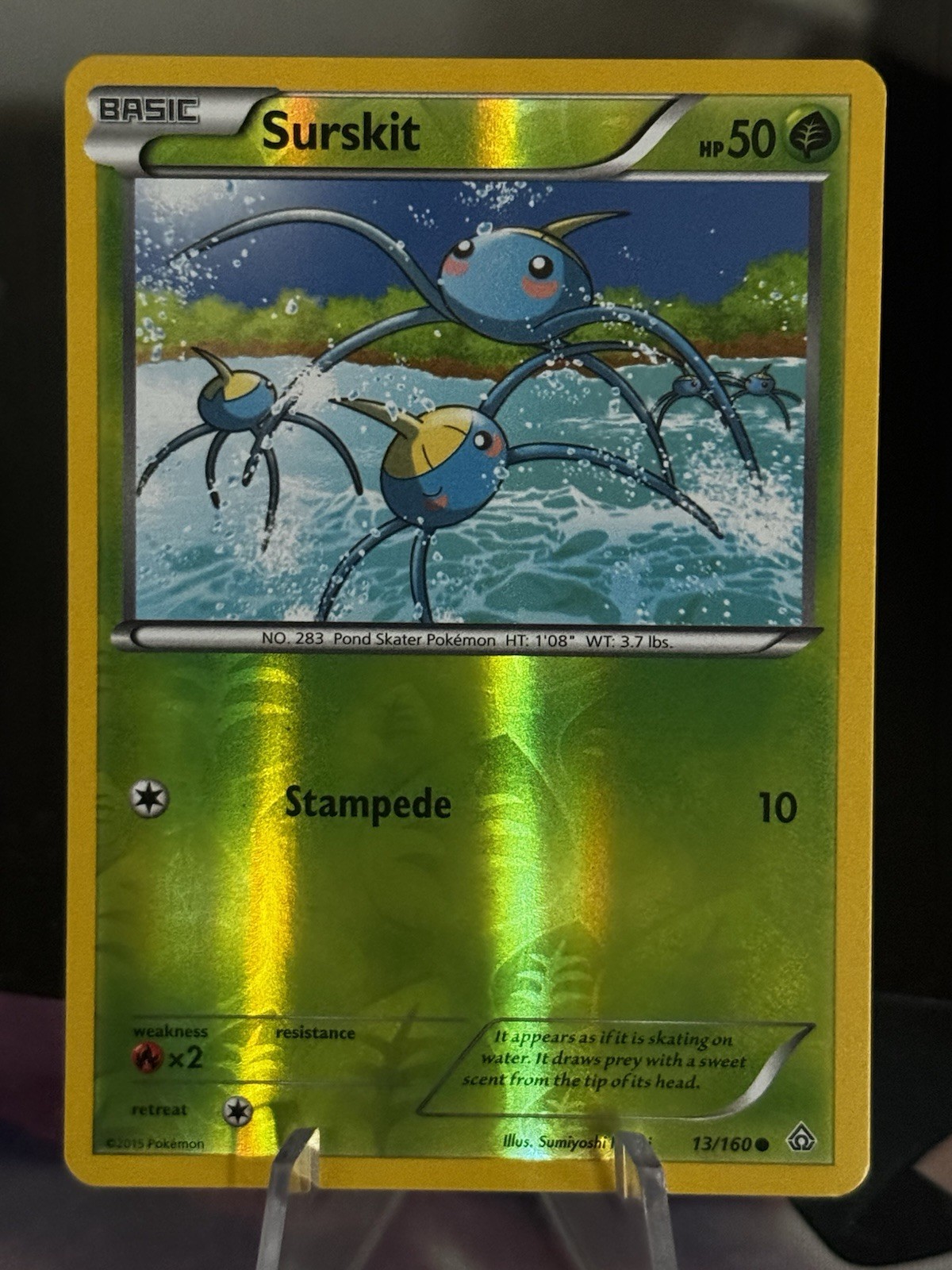 Surskit Reverse Holo - XY Primal Clash 13/160 - NM