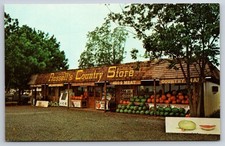Russell's Country Store Hope Arkansas AR Chrome c1970 Postcard