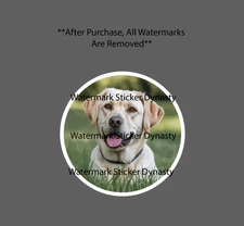 Yellow Lab Sticker Waterproof Decal Labrador Animal Pet Family Friend Gift NEW