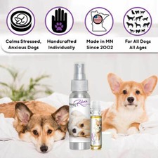 Corgi Relax Dog Aromatherapy  Thunderstorms, Fireworks, Separation Anxiety