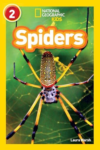 Spiders Level 2 by Laura Marsh (Paperback Book) - Image 5
