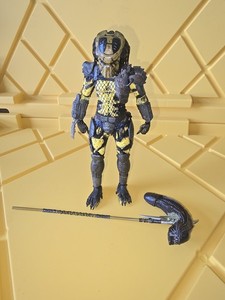 Predator Wasp | eBay
