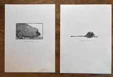 Two Original OTTER engravings-On land and water~Signed Alan Robinson, artist