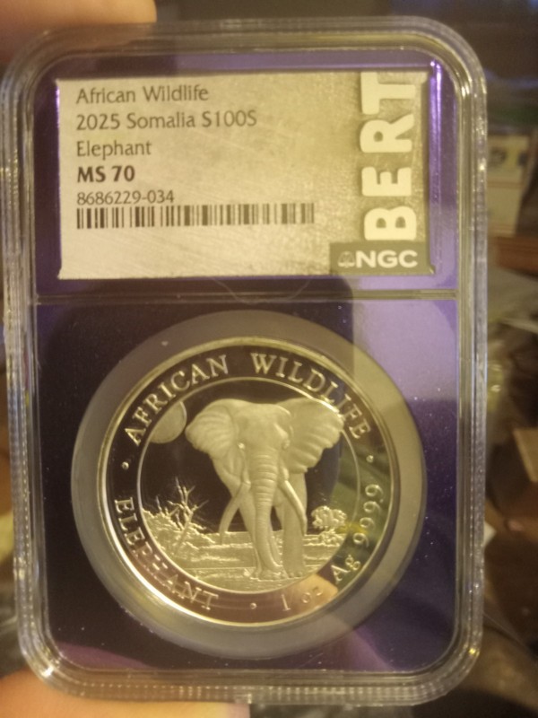 2025 African Wildlife Elephant Somalia S100s Ms 70 BERT Bea Purple Core NGC