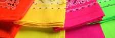 Hav-A-Hank USA Made 100% Cotton Neon Paisley Bandannas 22inX22in