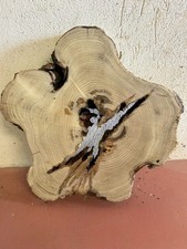 Baumscheibe, Holzscheibe, massiv, ca. 35/5, geschliffen, Robinie