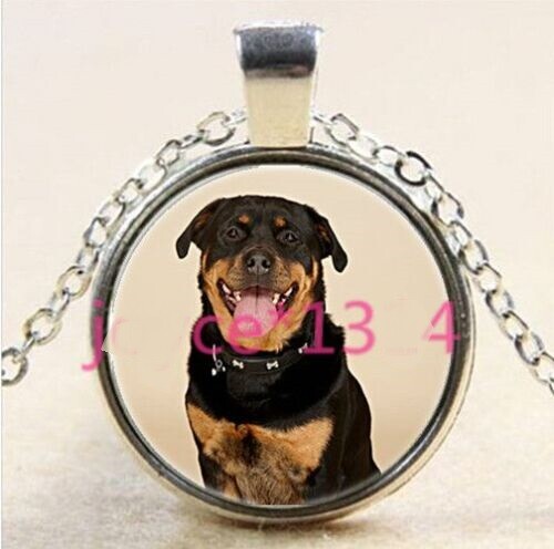 ROTTWEILER DOG PET jewelry pendant charm 20