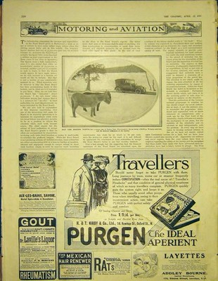 Alter antiker Druck Reklame Purgen Layettes Mertens Gicht Himrods Astma 1913 20.