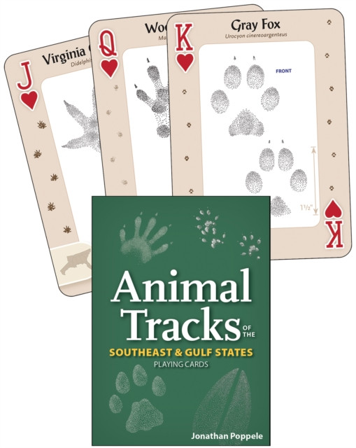 Animal Tracks of the Southeast & Gulf States Playing... - Free Tracked Delivery