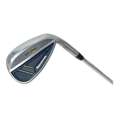 Ray Cook Silver Ray 60° Lob Wedge Steel Shaft Wedge Flex 35'' Right-Handed
