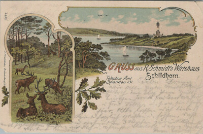  AK *   Schildhorn - Gruss aus Schmidt's Wirtshaus (AB)70597  