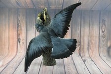 GORGEOUS FLYING PIGEON ON NATURAL TREE HOLLOW WALL / STAND MOUNT TAXIDERMY