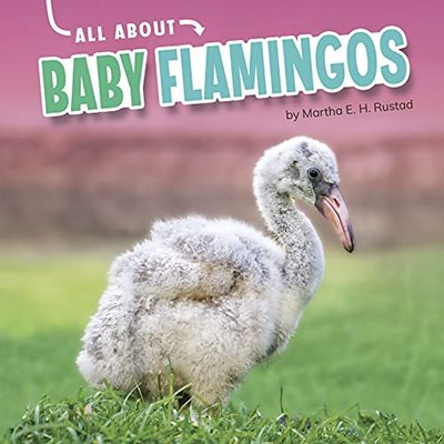 All about Baby Flamingos by Martha E. H. Rustad (2021, Hardcover)