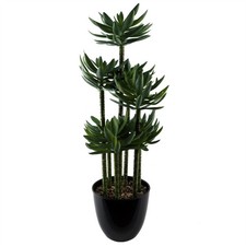 Artificial Tropical Yukka in Planter 60cm Black, Green Realistic Faux Indoor