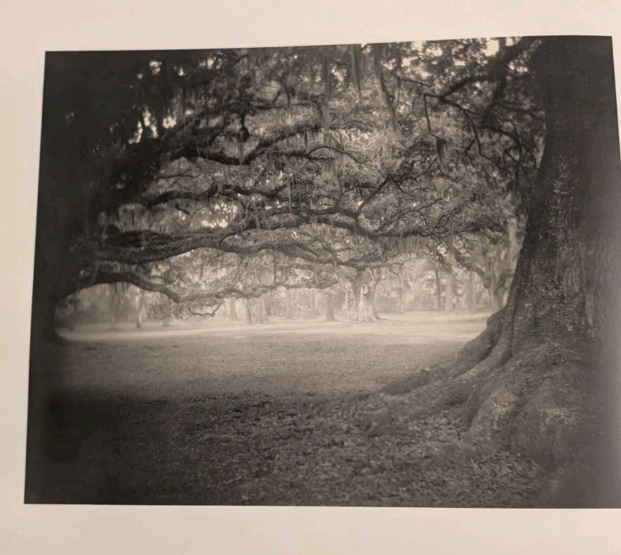 洋書　写真集　DEEP SOUTH    SALLY MANN Deep South, Untitled (Scarred Tree) by Sally Mann