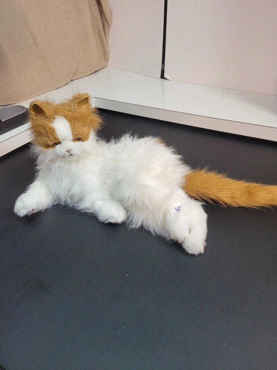 White Cat Toy Lulu My Cuddlin Kitty FurReal Friends Orange And - Main Image