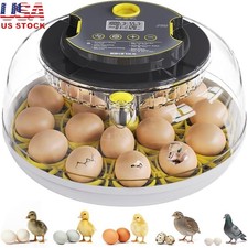 Automatic Chicken Egg Incubator W/ Humidity Control  Candling 360  View New