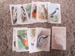 15 USEFUL BIRDS OF AMERICA VINTAGE CARDS ARM & HAMMER PROMO SERIES 9