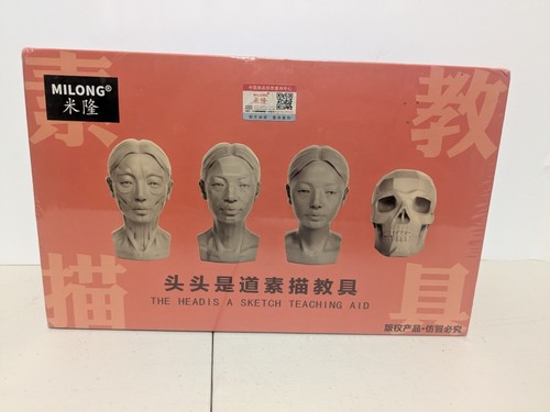 Sketch Reference Head Model Artist Sketching Drawing Training Tool New Female